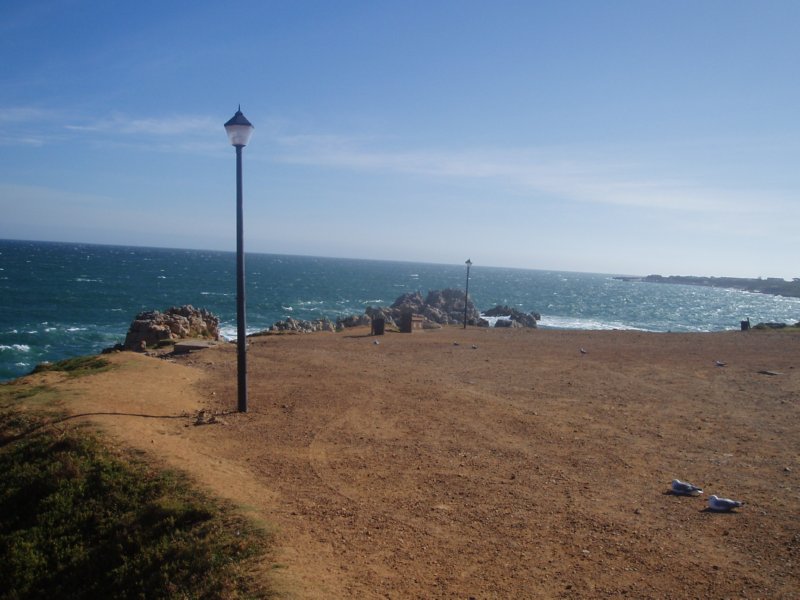 KeHa_in_South_Africa - 176